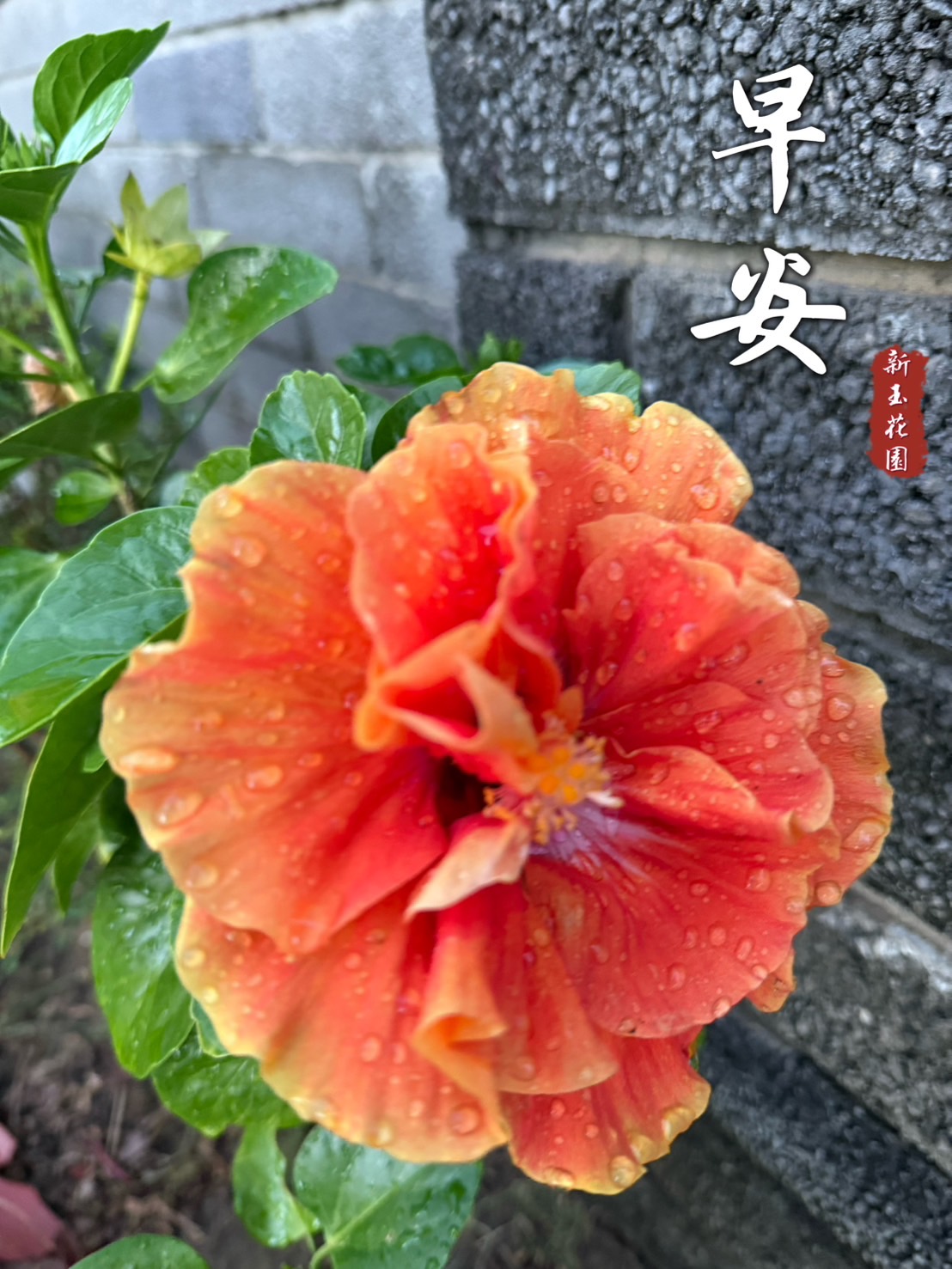 （圖/@喔喔喔喔）