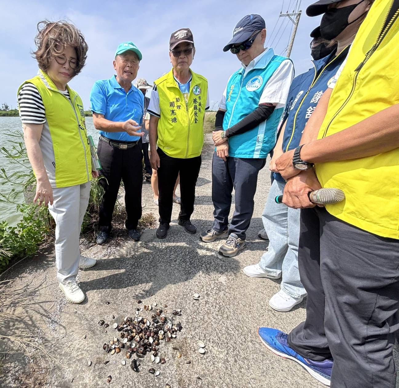 豪雨重創台南溪北農漁業　賴惠員勘災爭取文蛤、青割玉米納天然災害救助